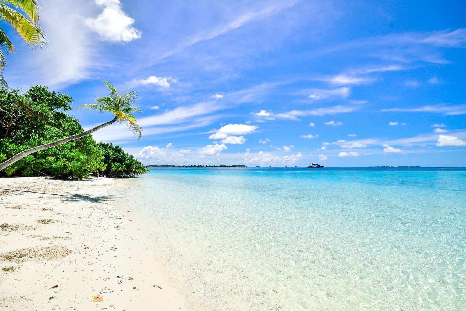 New Zanzibar day-trip packages for 2026